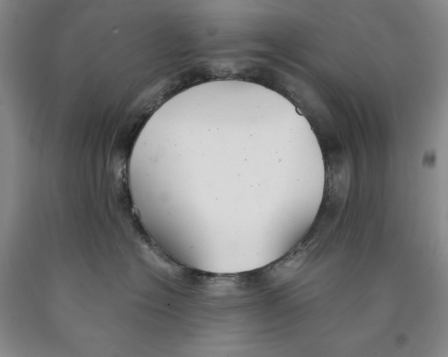 X0000089920574200707271738