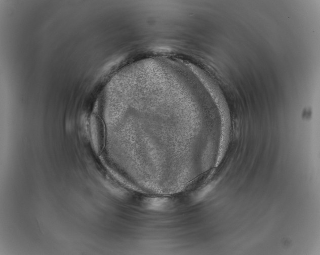 X0000089920575200707271738