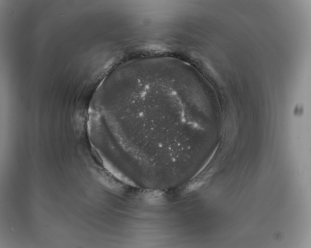 X0000089920576200707271738