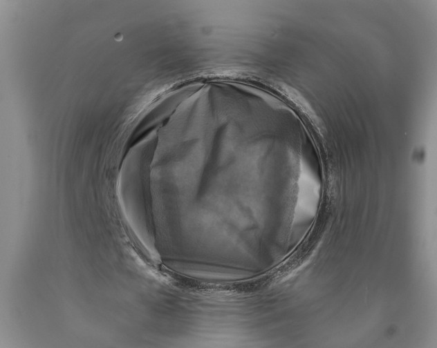 X0000089920577200707271738