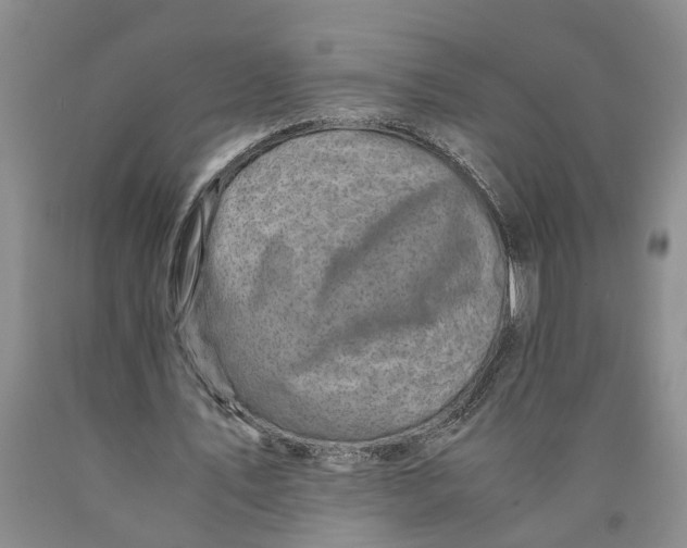 X0000089920579200707271738