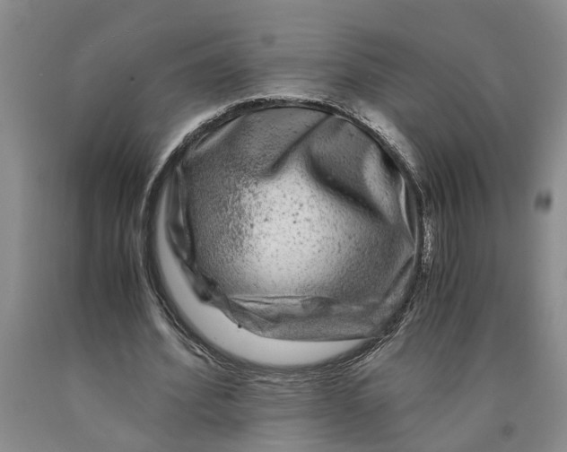 X0000089920580200707271738