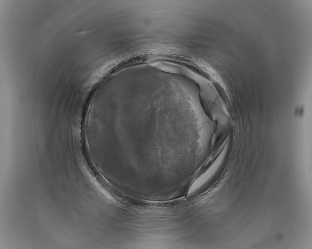 X0000089920581200707271738