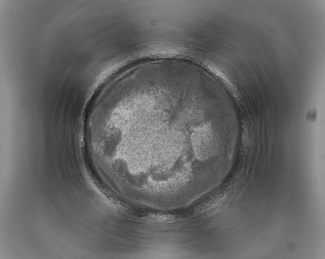 X0000089920582200707271738