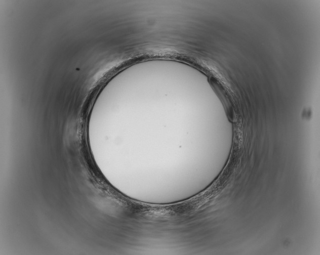 X0000089920583200707271738