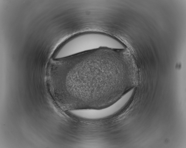 X0000089920584200707271738