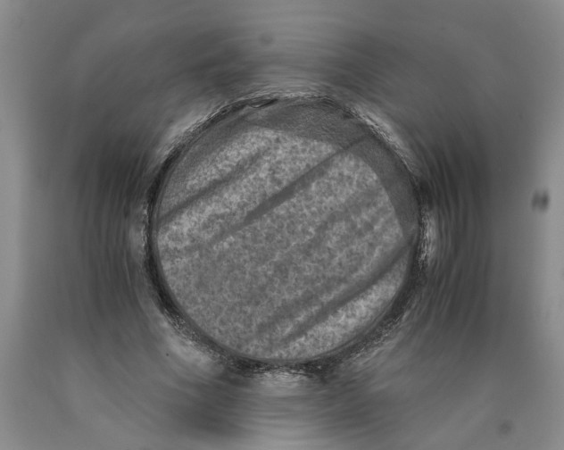 X0000089920586200707271738