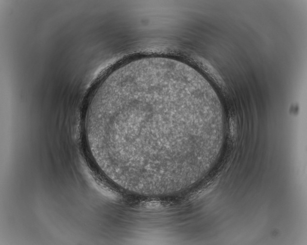 X0000089920588200707271738