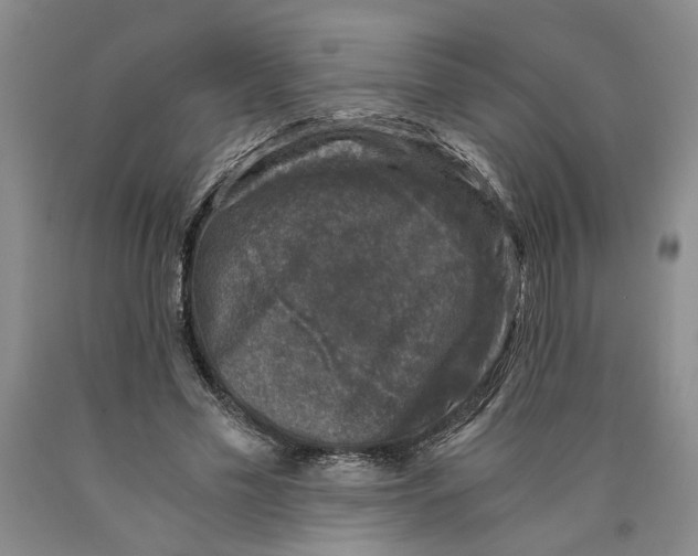 X0000089920589200707271738