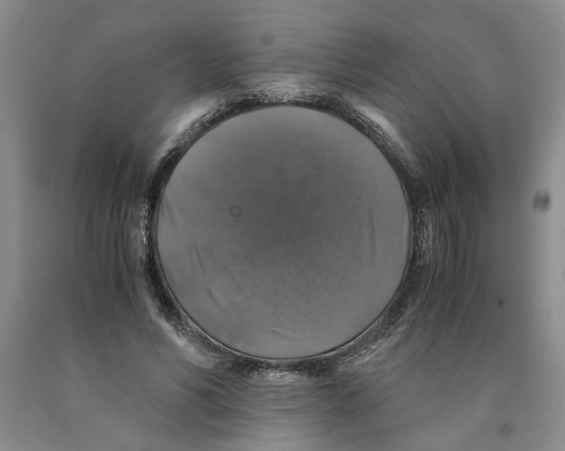 X0000089920590200707271738