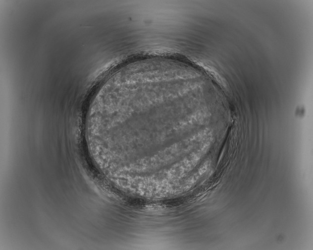 X0000089920591200707271738