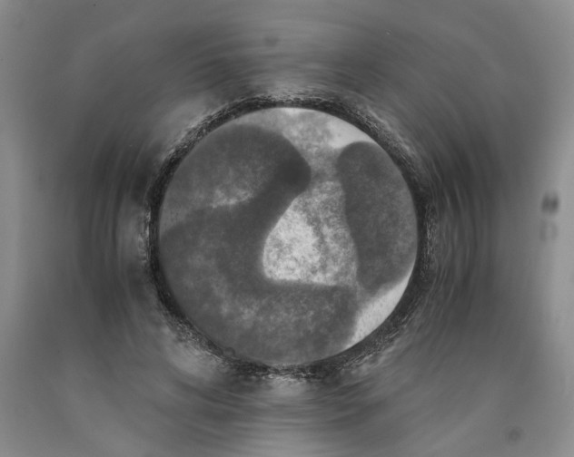 X0000089920592200707271738