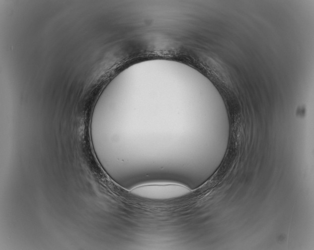 X0000089920595200707271738