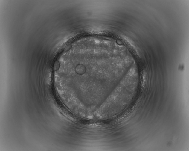 X0000089920596200707271738