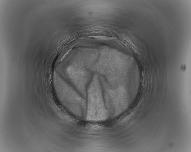 X0000089920597200707271738