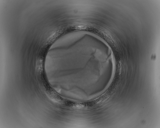 X0000089920598200707271738