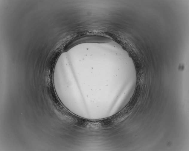 X0000089920599200707271738