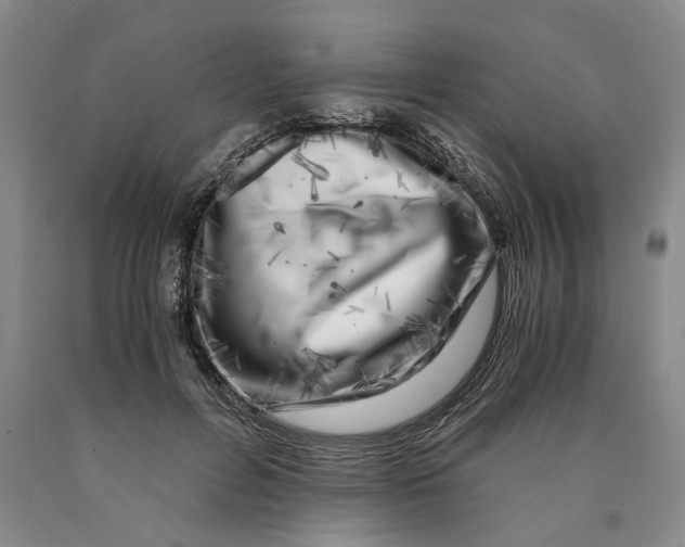 X0000089920600200707271738