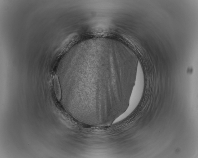 X0000089920601200707271738