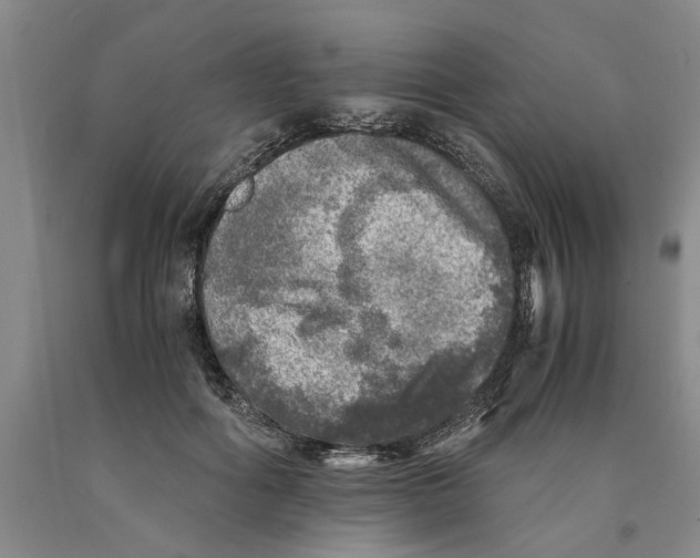 X0000089920602200707271738