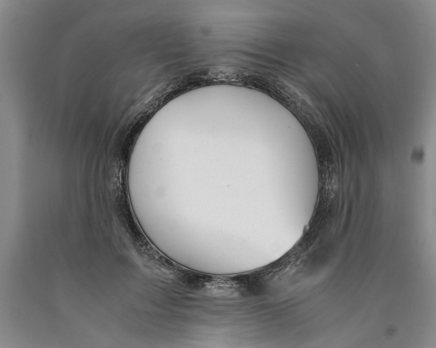 X0000089920603200707271738