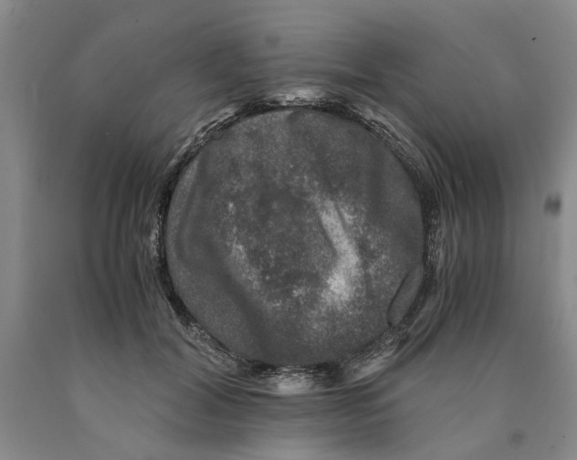 X0000089920604200707271738