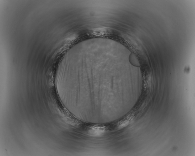 X0000089920606200707271738