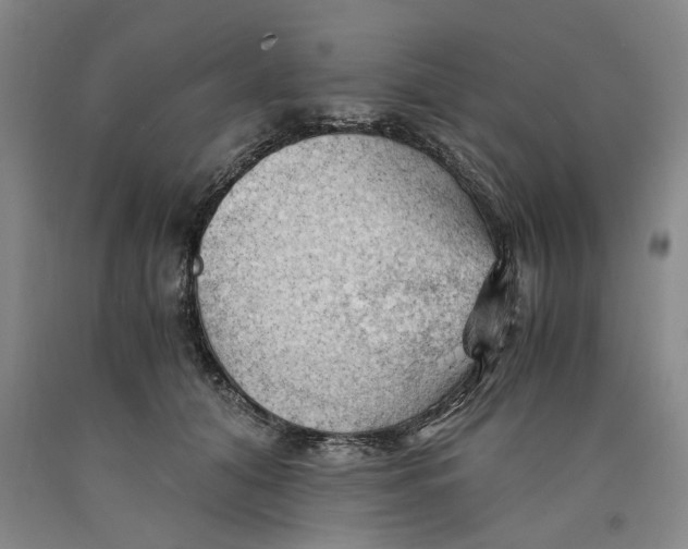 X0000089920608200707271737