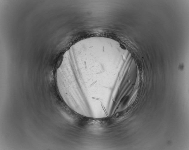 X0000089920611200707271737