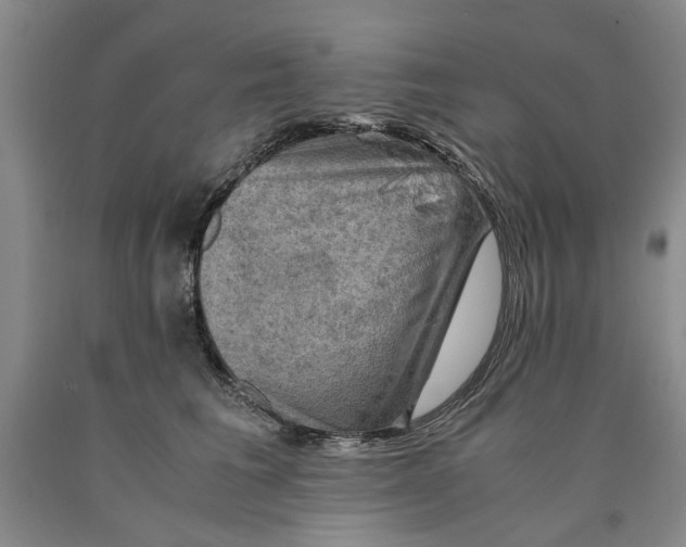 X0000089920613200707271737