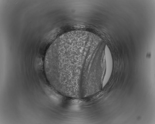 X0000089920614200707271737