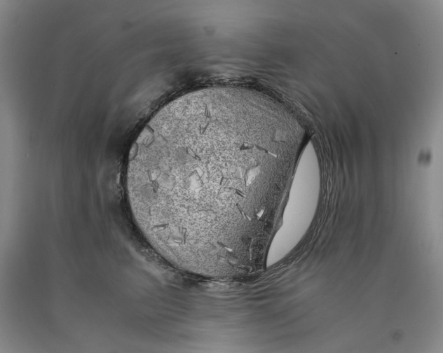 X0000089920615200707271737