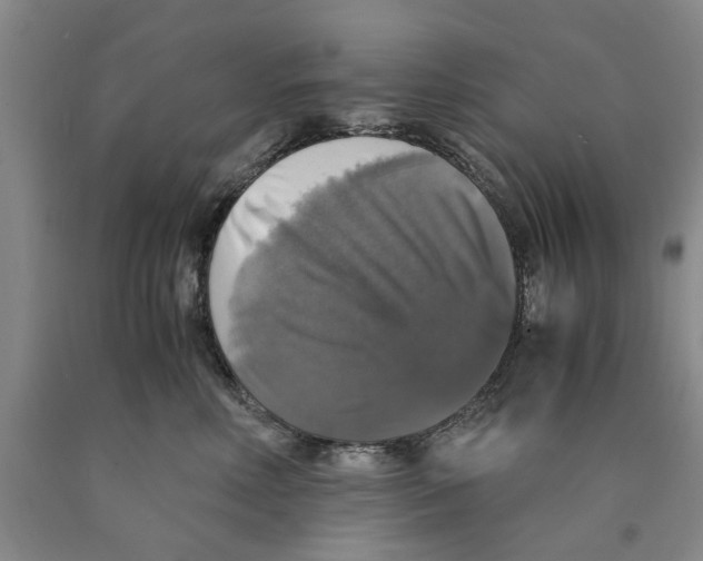 X0000089920618200707271737