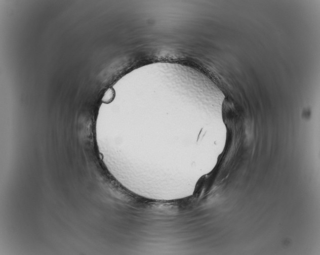 X0000089920619200707271737