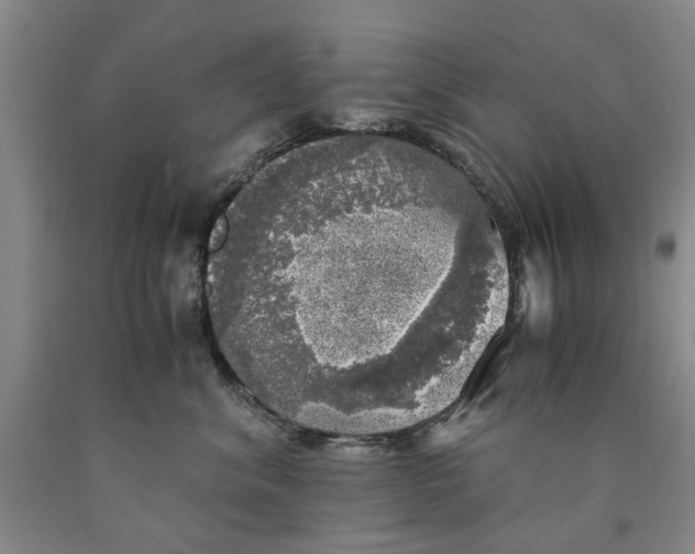 X0000089920620200707271737