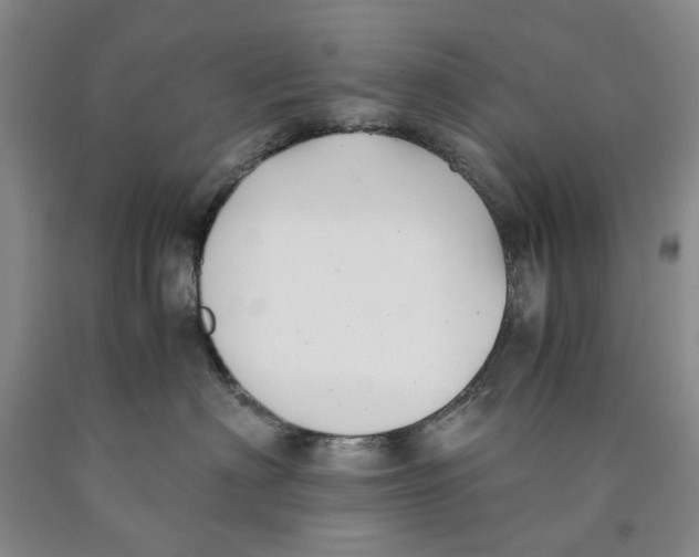 X0000089920622200707271737