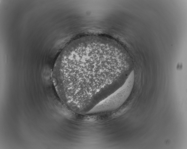 X0000089920624200707271737