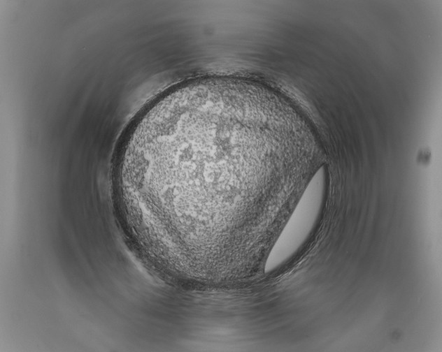 X0000089920626200707271737