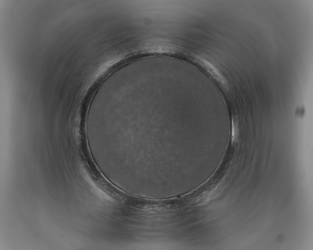 X0000089920627200707271737