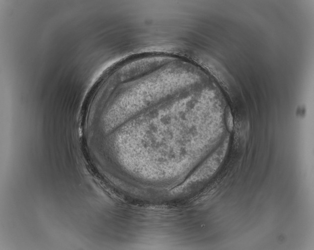 X0000089920628200707271737