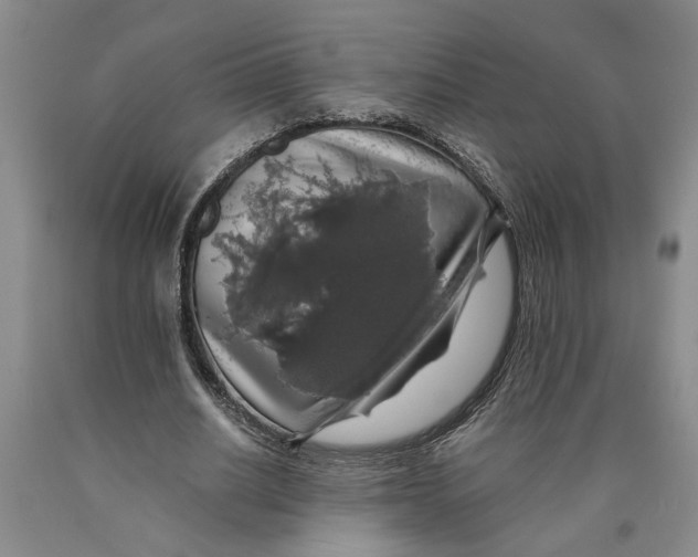 X0000089920630200707271737