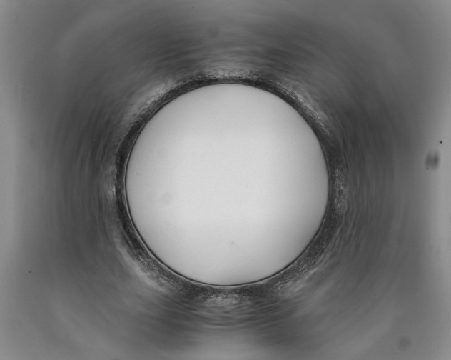 X0000089920631200707271737