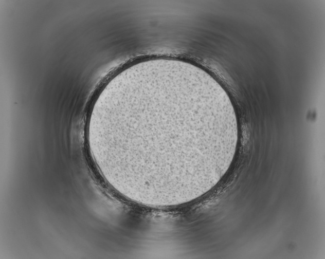 X0000089920632200707271737