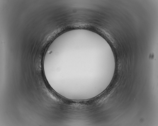 X0000089920633200707271737