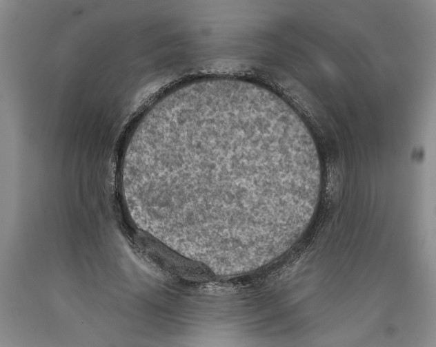 X0000089920636200707271737