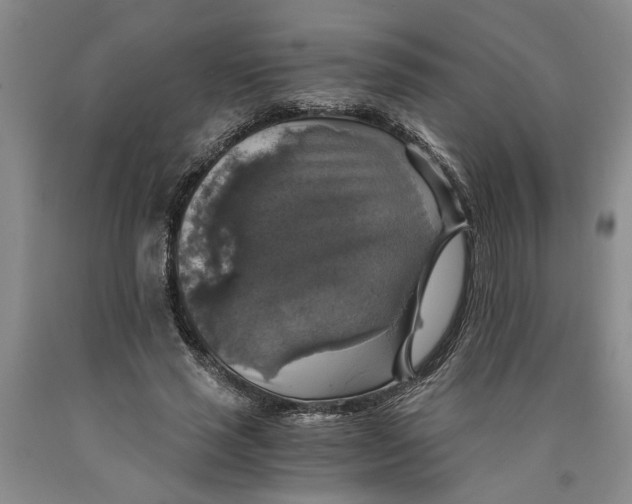 X0000089920637200707271737