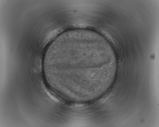 X0000089920638200707271737