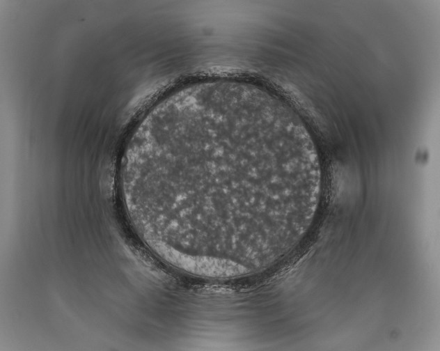 X0000089920640200707271737