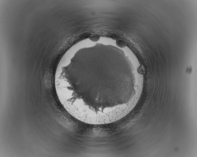 X0000089920641200707271737