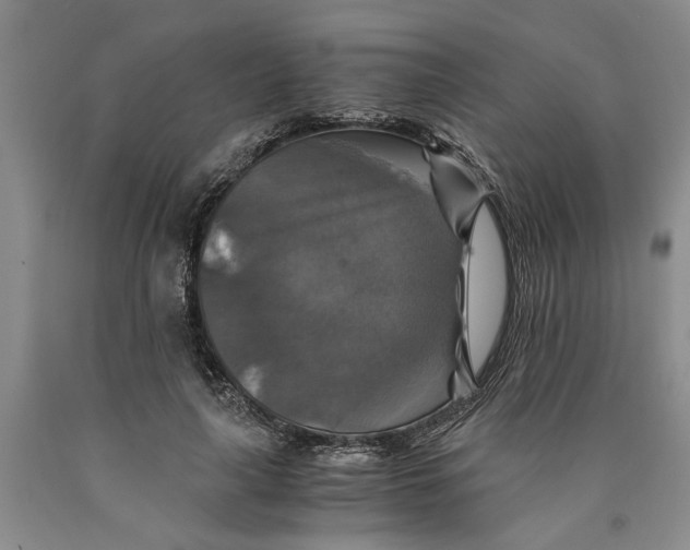 X0000089920643200707271737